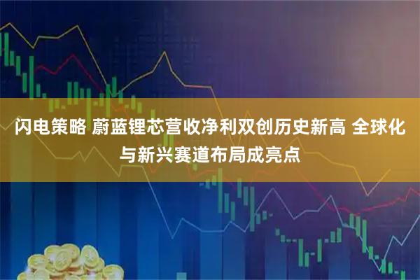 闪电策略 蔚蓝锂芯营收净利双创历史新高 全球化与新兴赛道布局成亮点