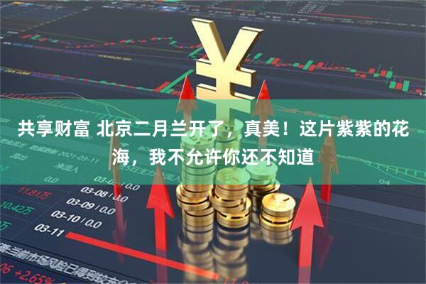 共享财富 北京二月兰开了，真美！这片紫紫的花海，我不允许你还不知道