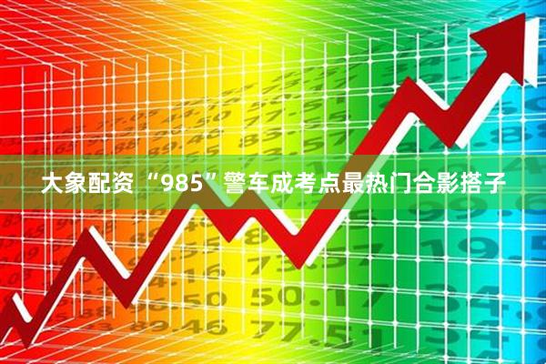 大象配资 “985”警车成考点最热门合影搭子