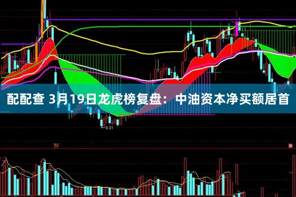 配配查 3月19日龙虎榜复盘：中油资本净买额居首
