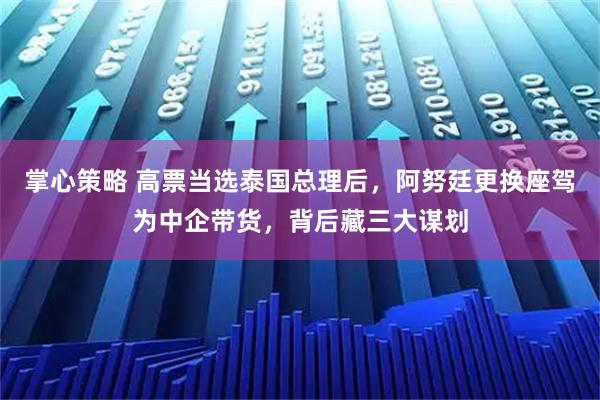 掌心策略 高票当选泰国总理后，阿努廷更换座驾为中企带货，背后藏三大谋划