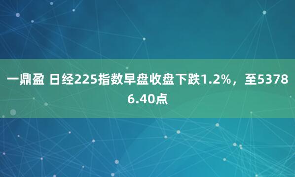 一鼎盈 日经225指数早盘收盘下跌1.2%，至53786.40点