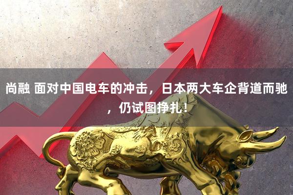 尚融 面对中国电车的冲击,日本两大车企背道而驰,仍试图挣扎!