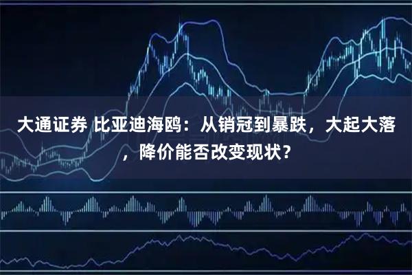 大通证券 比亚迪海鸥：从销冠到暴跌，大起大落，降价能否改变现状？