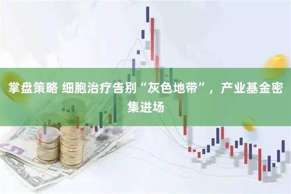 掌盘策略 细胞治疗告别“灰色地带”,产业基金密集进场