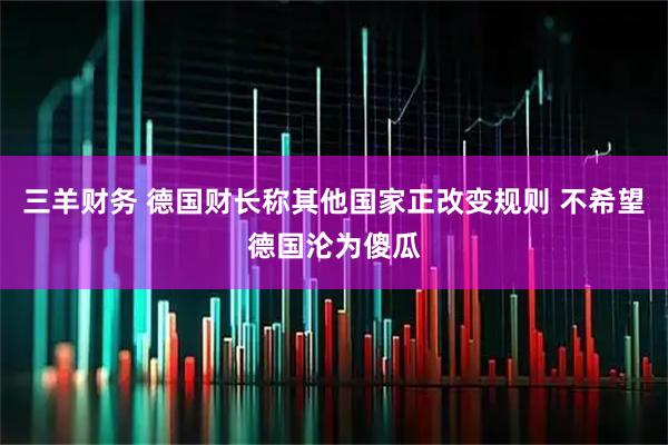 三羊财务 德国财长称其他国家正改变规则 不希望德国沦为傻瓜
