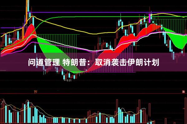 问道管理 特朗普：取消袭击伊朗计划