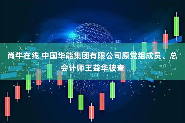 尚牛在线 中国华能集团有限公司原党组成员、总会计师王益华被查