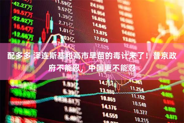 配多多 泽连斯基和高市早苗的毒计来了！普京政府不能忍，中国更不能忍