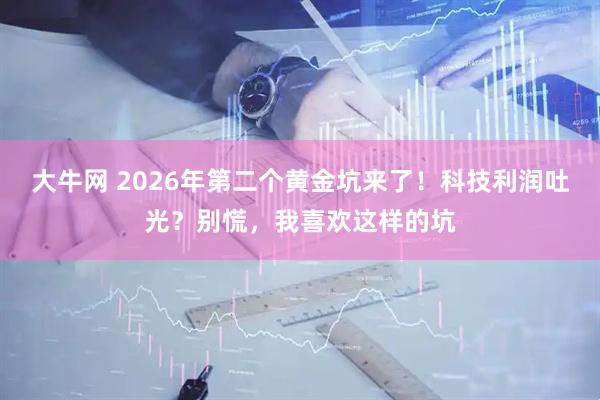大牛网 2026年第二个黄金坑来了！科技利润吐光？别慌，我喜欢这样的坑