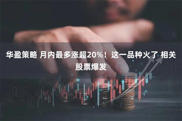华盈策略 月内最多涨超20%!这一品种火了 相关股票爆发