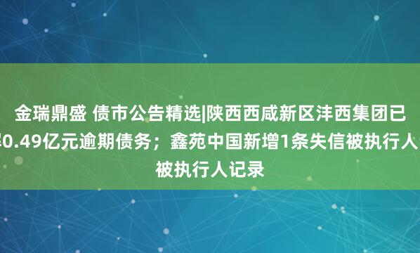 金瑞鼎盛 债市公告精选|陕西西咸新区沣西集团已化解0.49亿元逾期债务；鑫苑中国新增1条失信被执行人记录